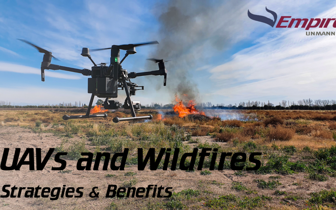 UAVs in Early Wildfire Detection: Strategies and Benefits