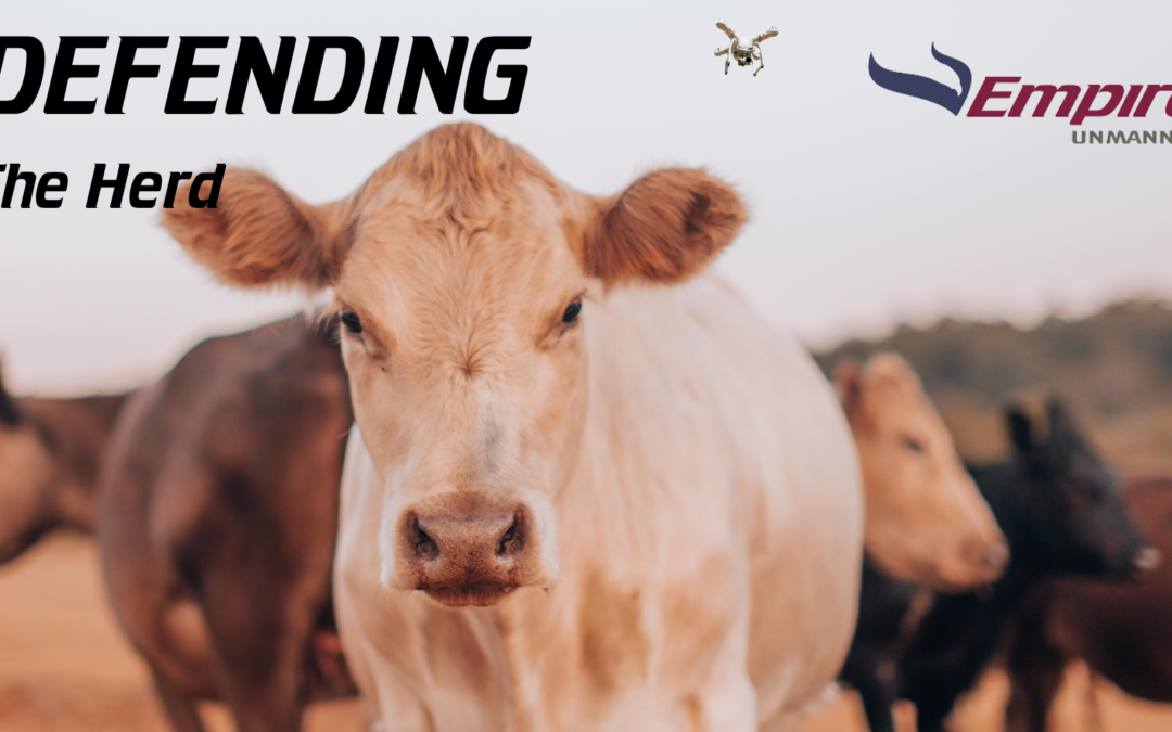 Defending the Herd: Utilizing Drones to Combat Cattle Rustling in the Western US