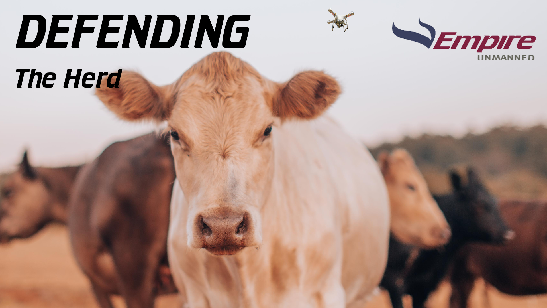 Defending the Herd: Utilizing Drones to Combat Cattle Rustling in the Western US