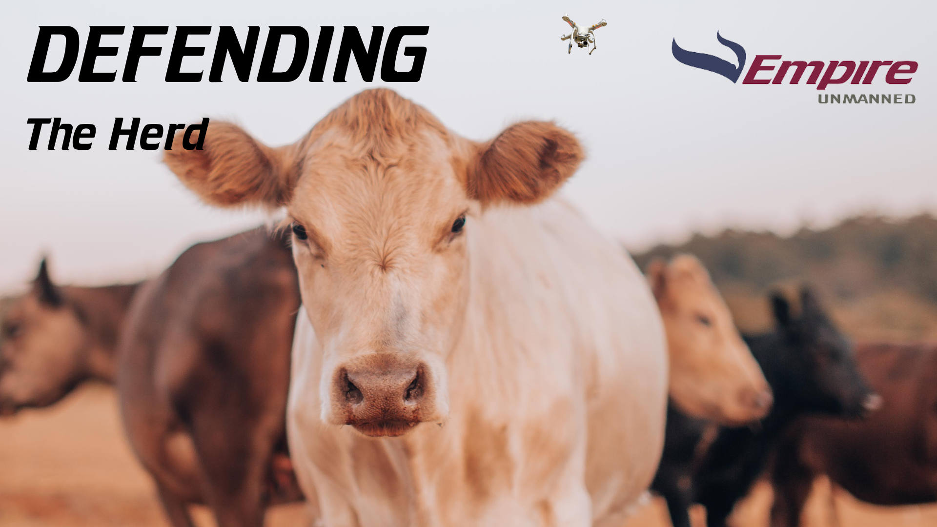 UAVs in livestock protection